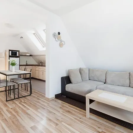 Apartamenty Sun & Snow Pardalowka Закопане Екстер'єр фото